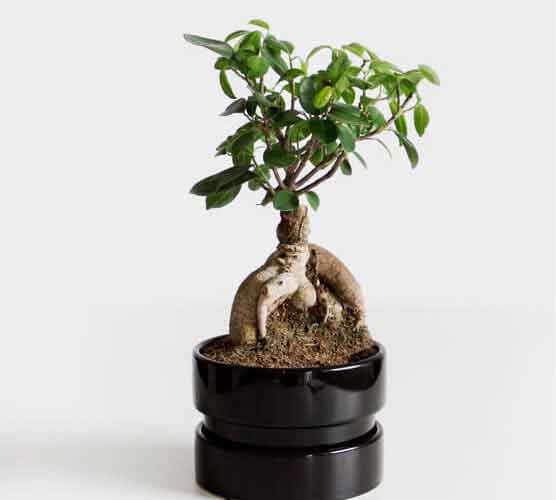 手机号码轰炸app免费